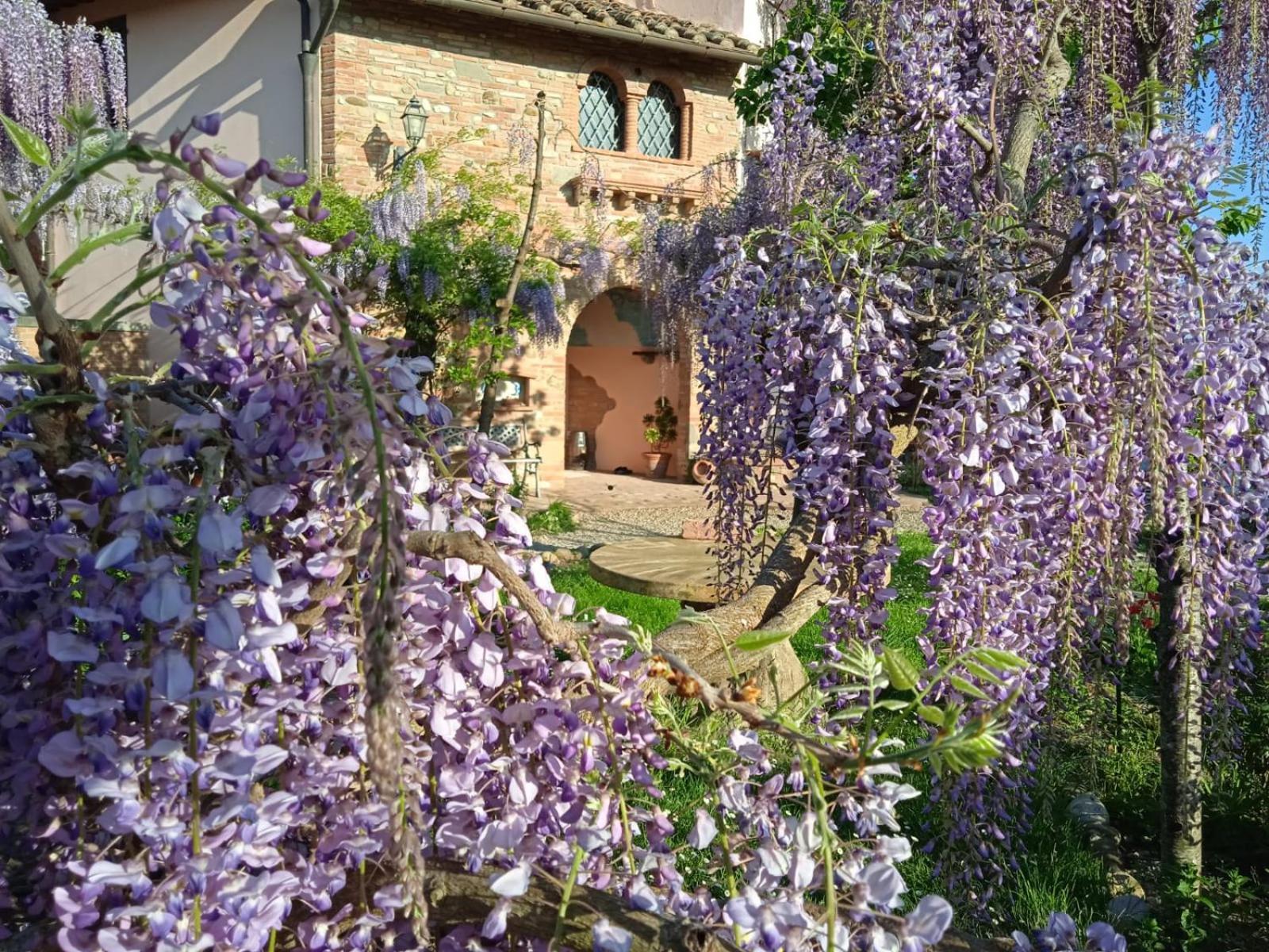 B&B Il Poggetto Montespertoli Exteriér fotografie
