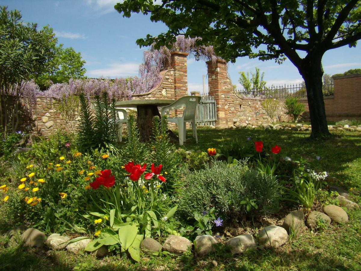 B&B Il Poggetto Montespertoli Exteriér fotografie