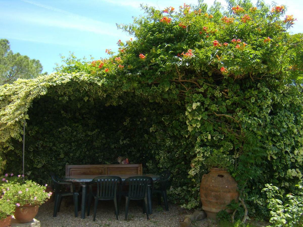 B&B Il Poggetto Montespertoli Exteriér fotografie