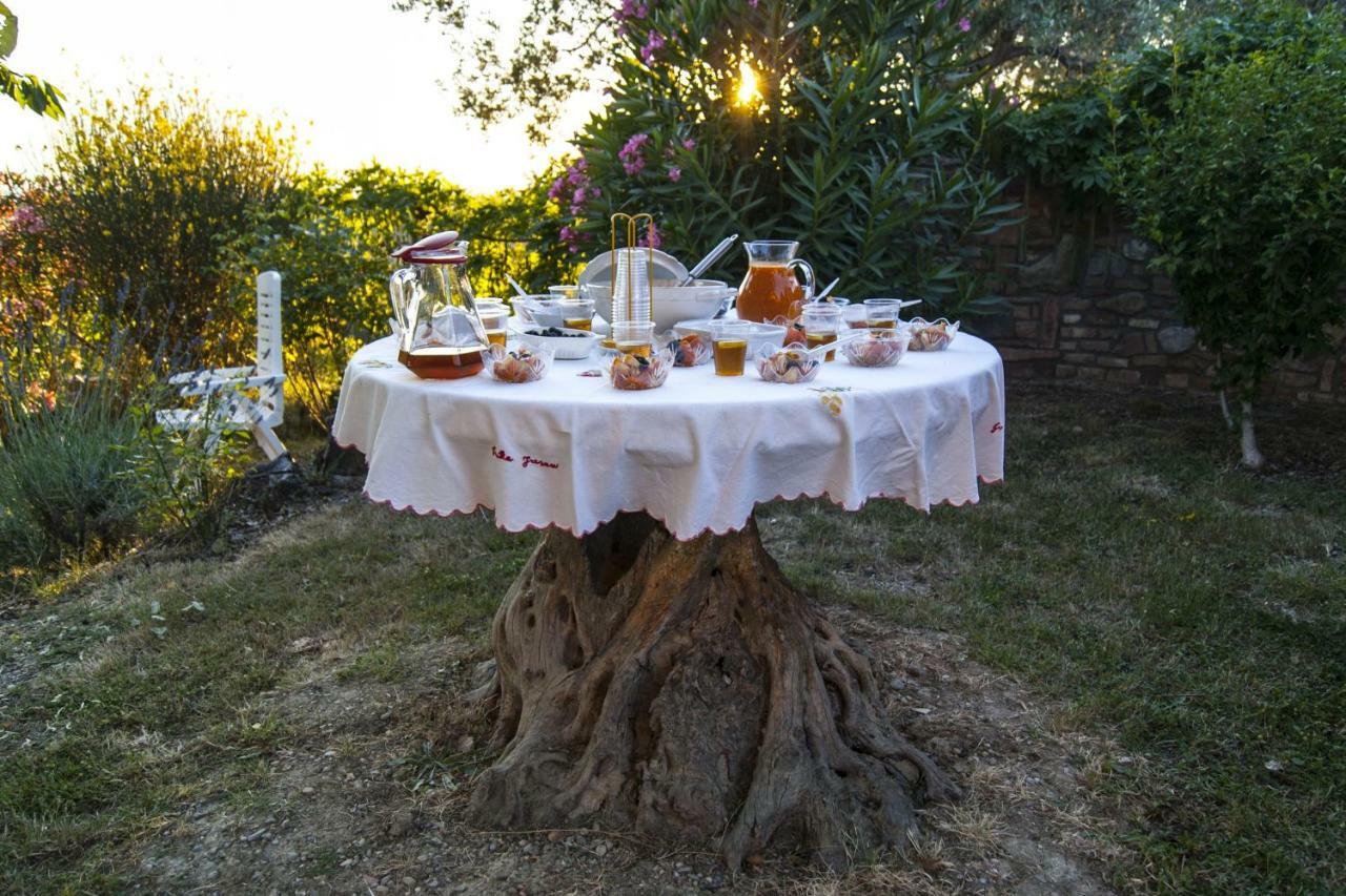 B&B Il Poggetto Montespertoli Exteriér fotografie